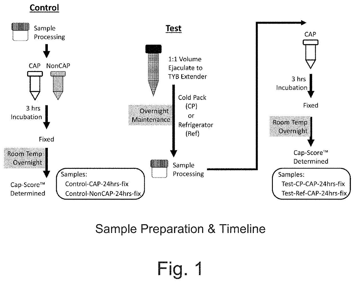 Identifying status of male fertility by determining sperm capacitation and companion collection kit