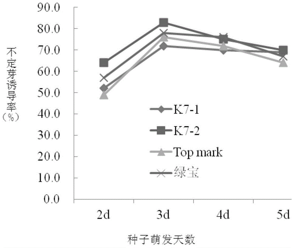 Melon regeneration in vitro method and application of melon regeneration in vitro method in melon genetic transformation