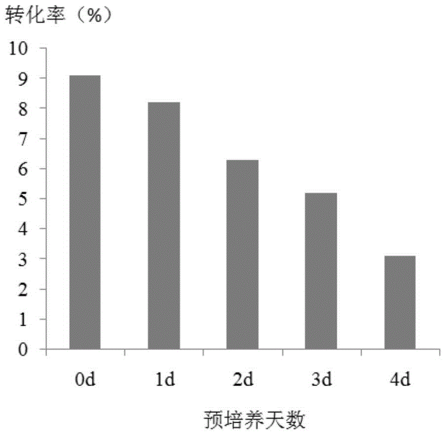 Melon regeneration in vitro method and application of melon regeneration in vitro method in melon genetic transformation