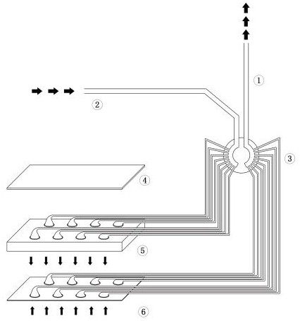 Debridement therapeutic apparatus for subcutaneous infection of diabetes