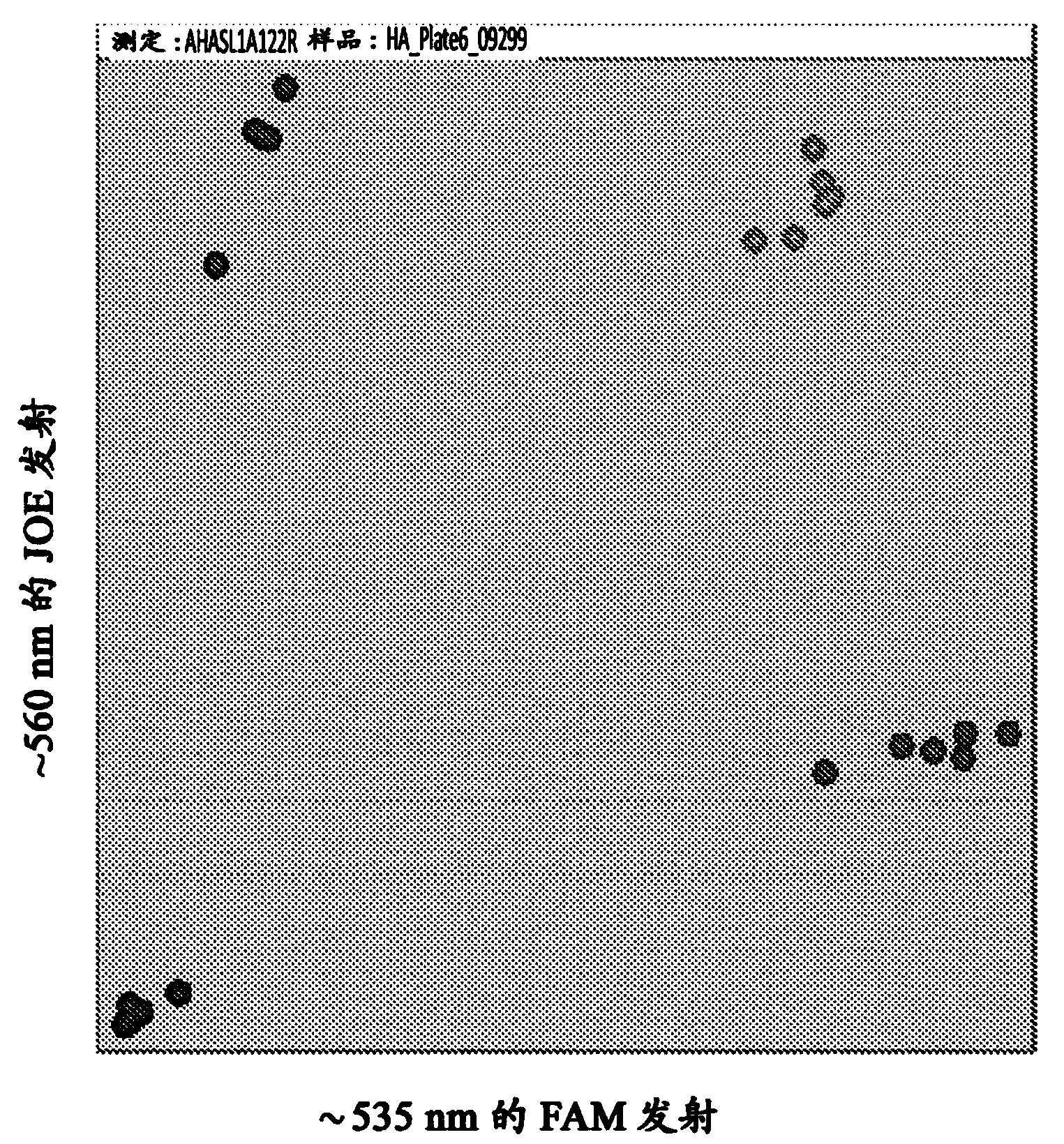 High throughput single nucleotide polymorphism assay