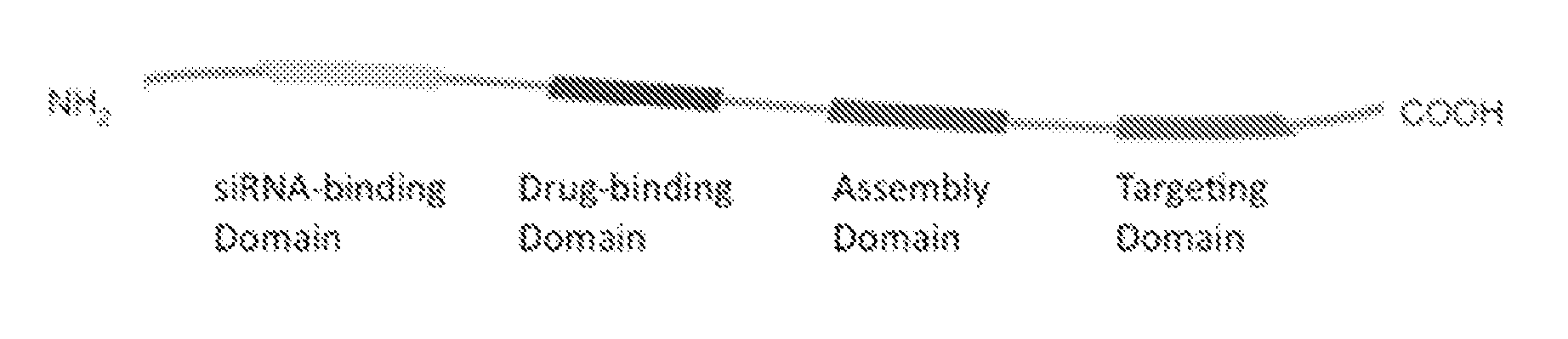 Compositions of a peptide targeting system for treating cancer