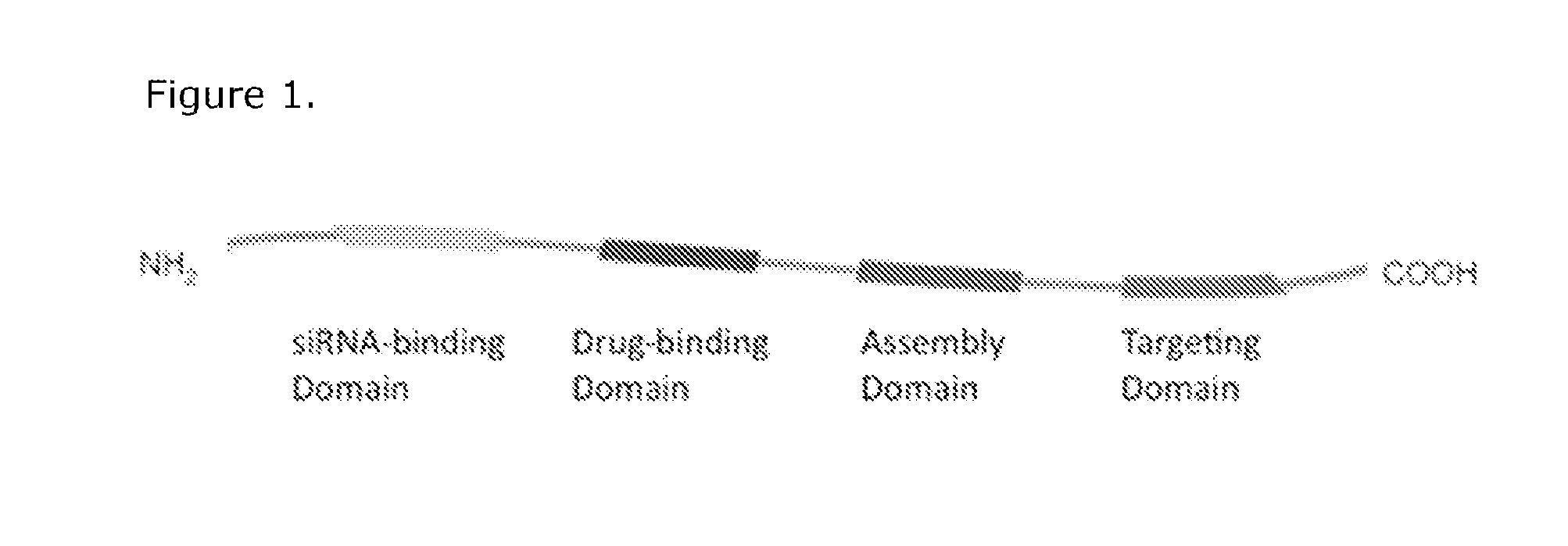 Compositions of a peptide targeting system for treating cancer