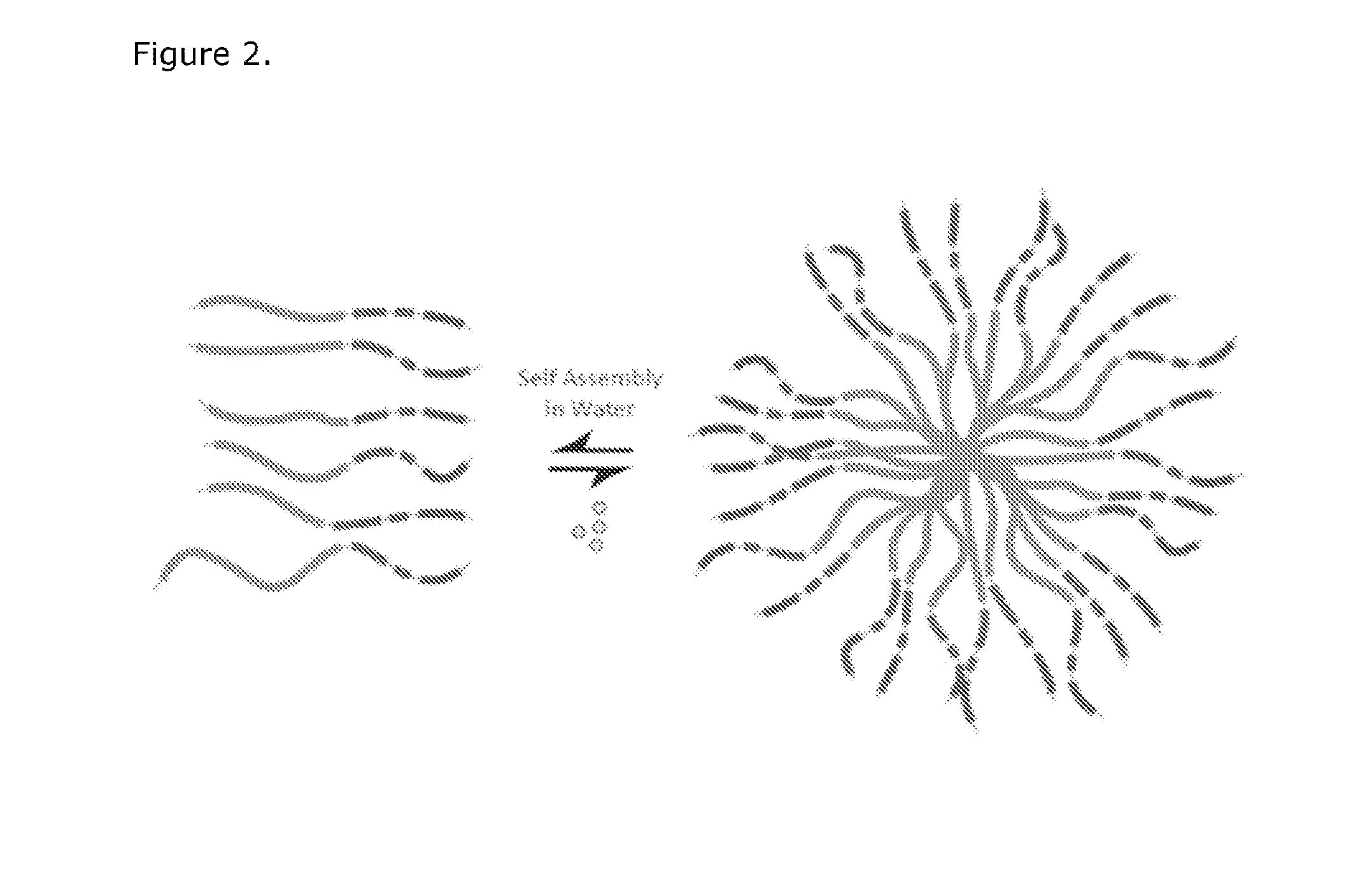 Compositions of a peptide targeting system for treating cancer