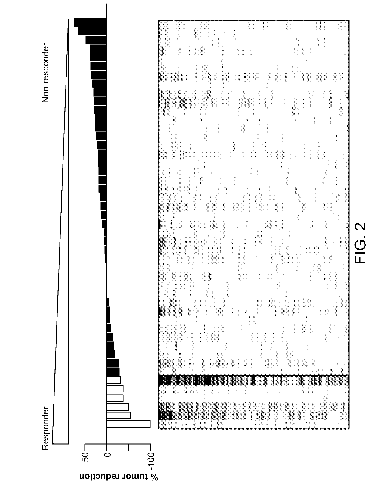 Biomarkers of response to selective inhibitors of aurora a kinase