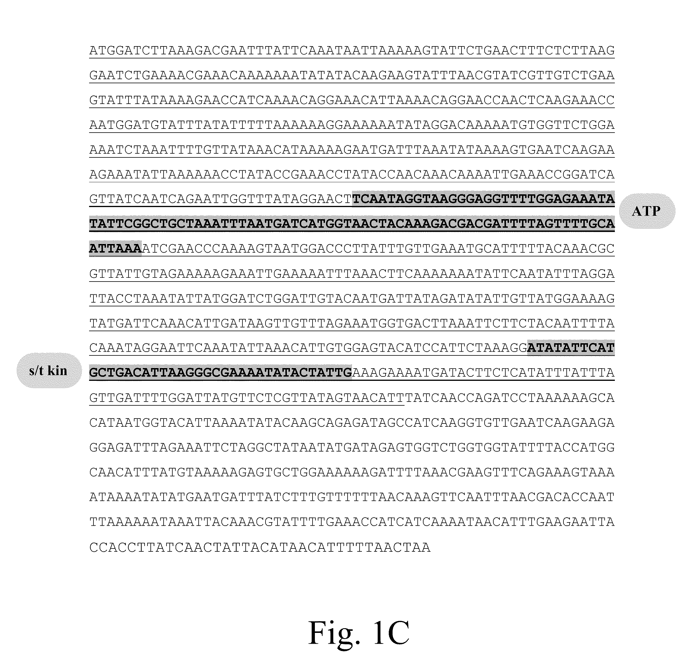 Use of Iridoptin to Induce Toxicity in Insects