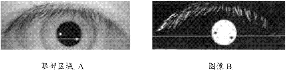 Iris identification method and related product