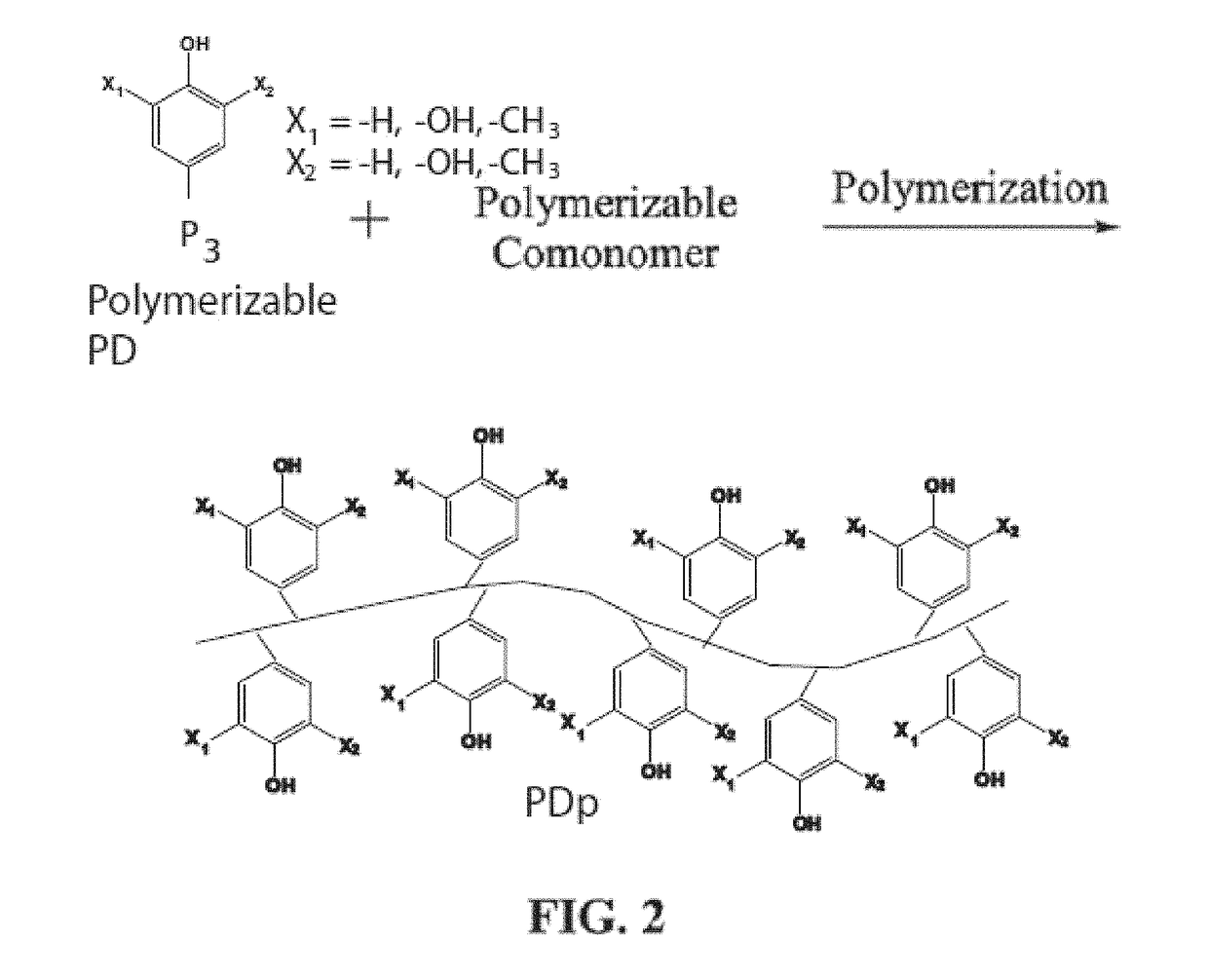 Bioadhesive compounds and methods of synthesis and use