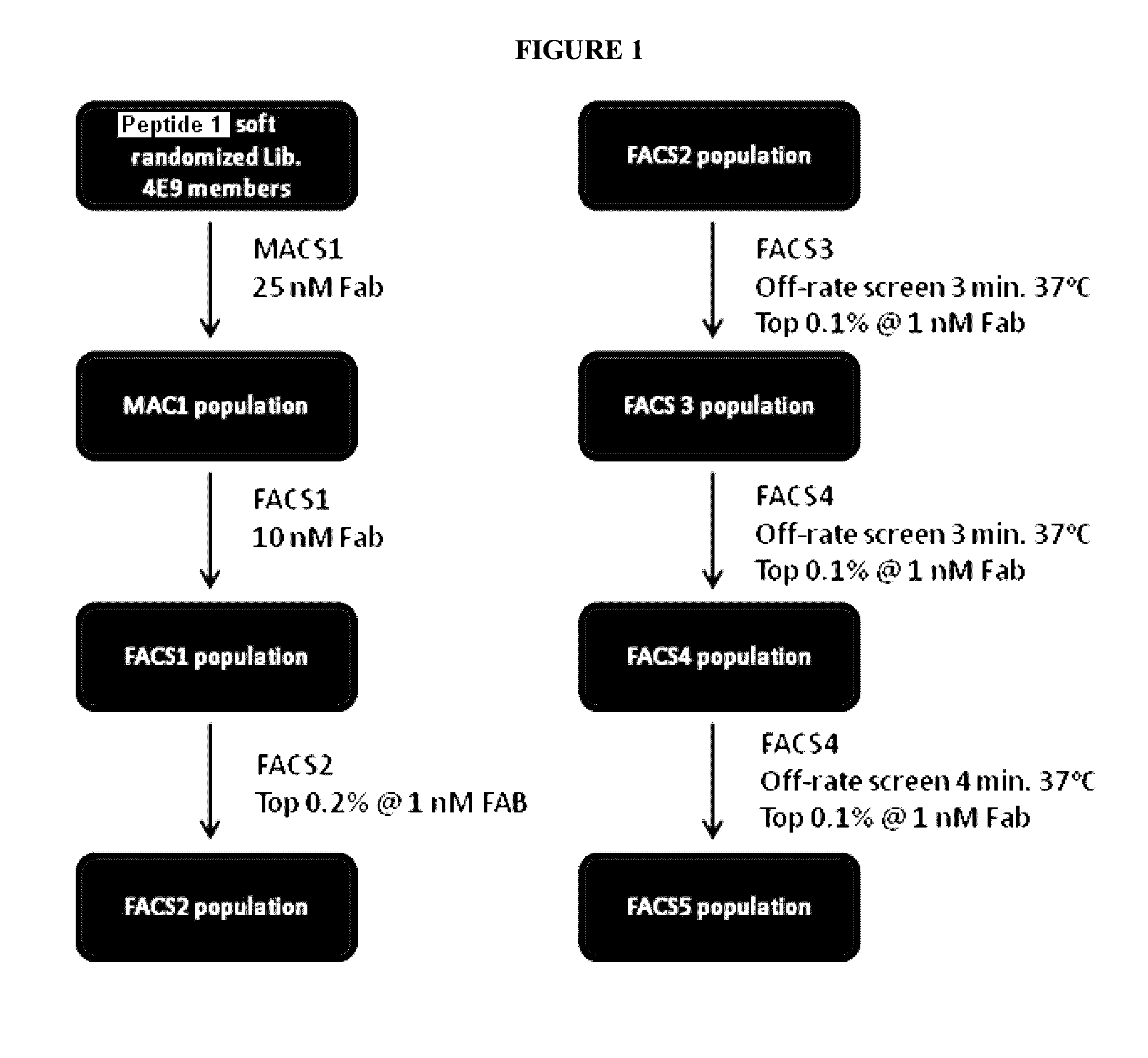 Activatable antibodies that bind interleukin-6 receptor and methods of use thereof