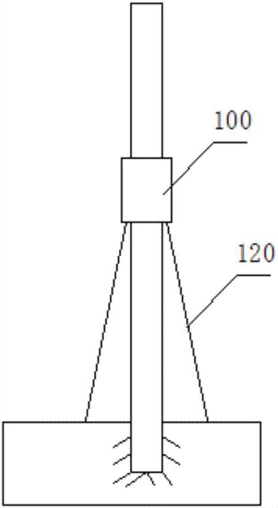 Cultivation method for high yield of macadamia nut