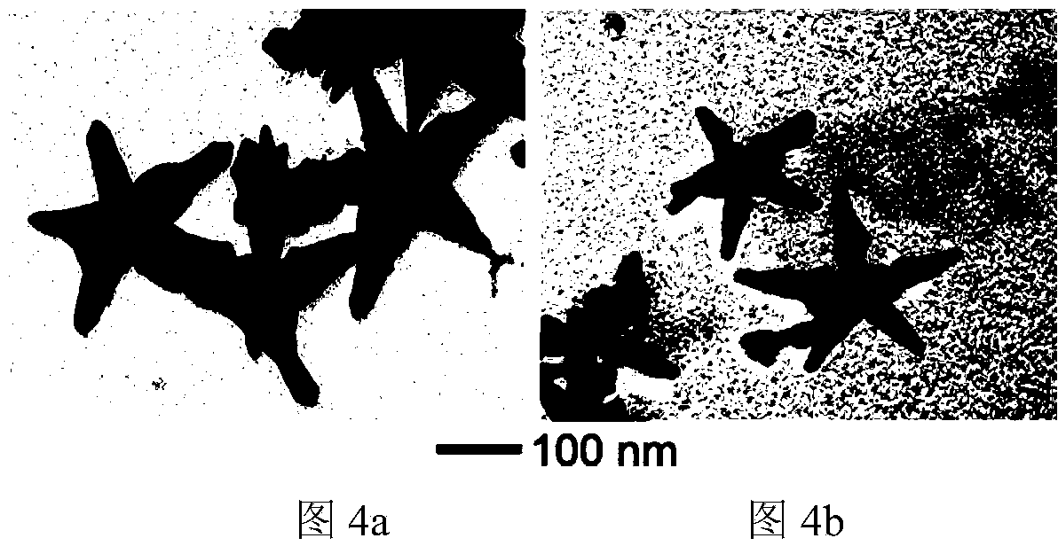 Preparation method of pentagram-shaped Au-Cu alloy nanocrystal and product prepared by preparation method