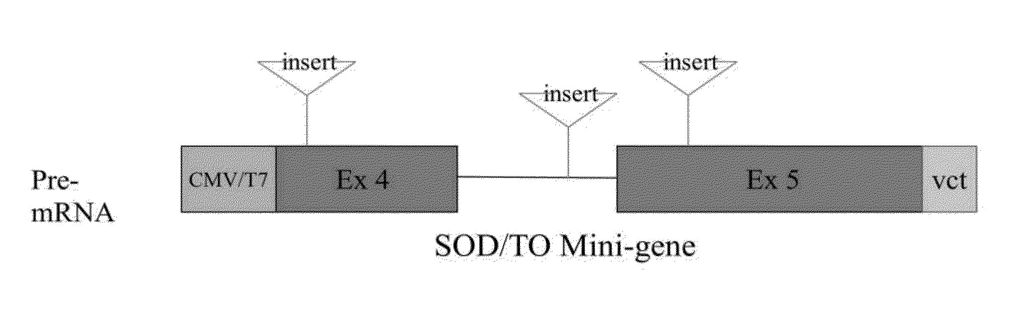 Modulation of RNA by repeat targeting