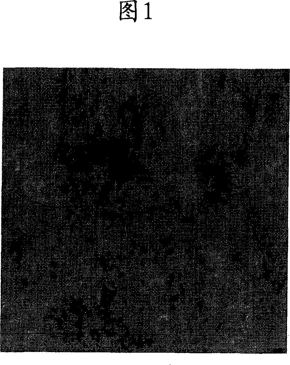 Process for purification of oligoanilines and oligoanilines