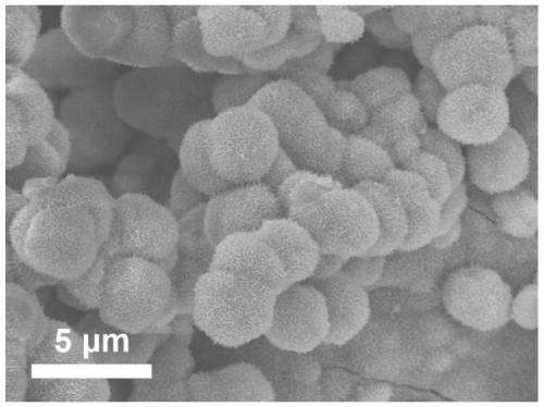 Method for preparing 2,5-furandicarboxylic acid through electrocatalytic oxidation by using nickel-vanadium phosphide catalyst