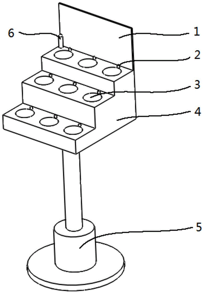 Automatic cultivation device and cultivation method for succulent sempervivum arachnoideum