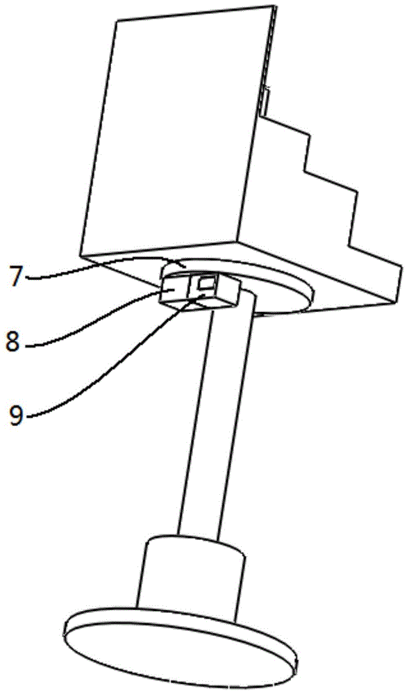 Automatic cultivation device and cultivation method for succulent sempervivum arachnoideum