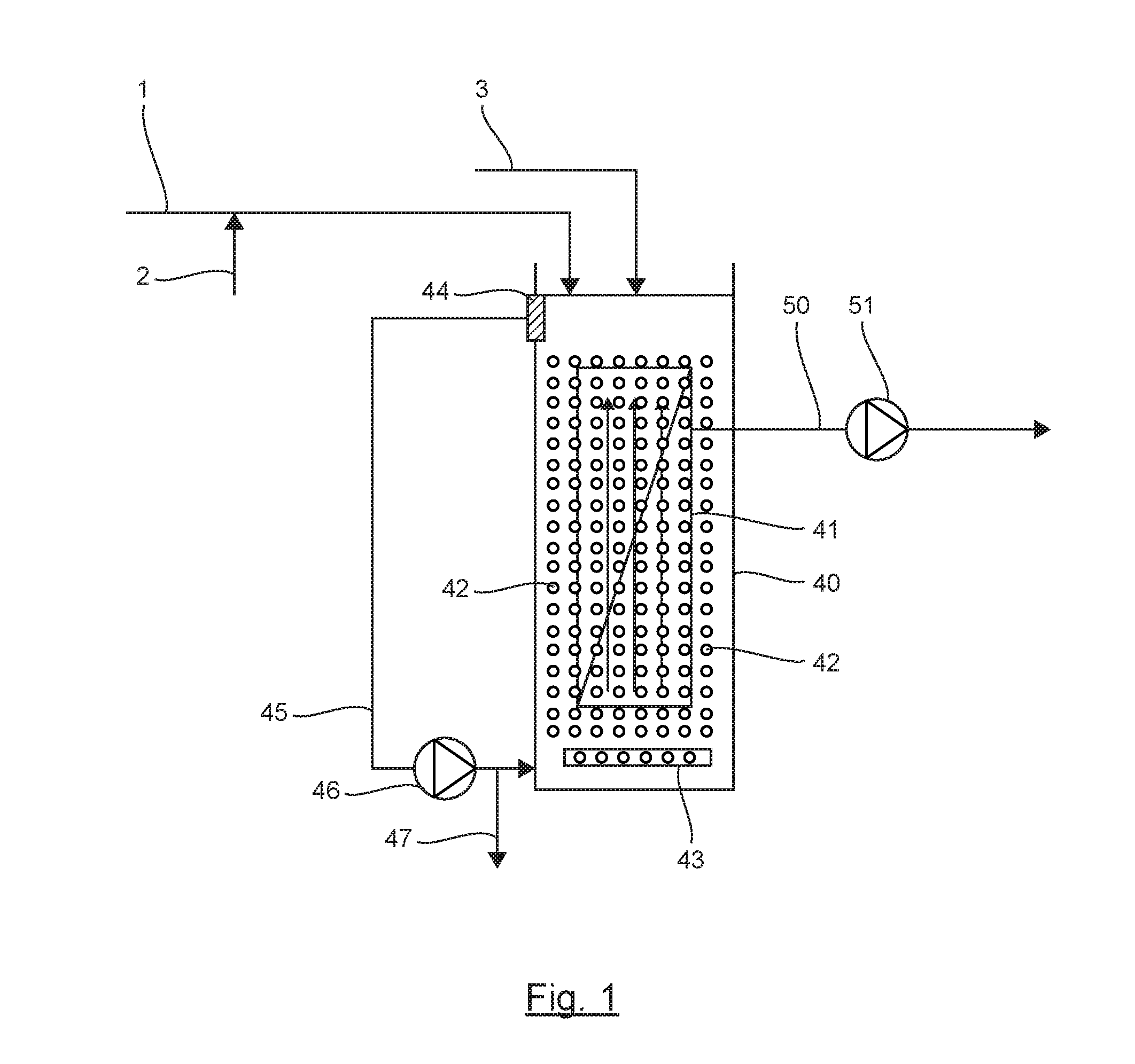 Membrane water treatment factility and method incorporating adsorption on an adsorbent powdered material and means for limiting the abrasion of the membranes