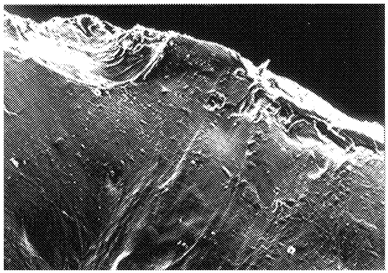 Subversion of bacterial resistance by low solubility antibiotics