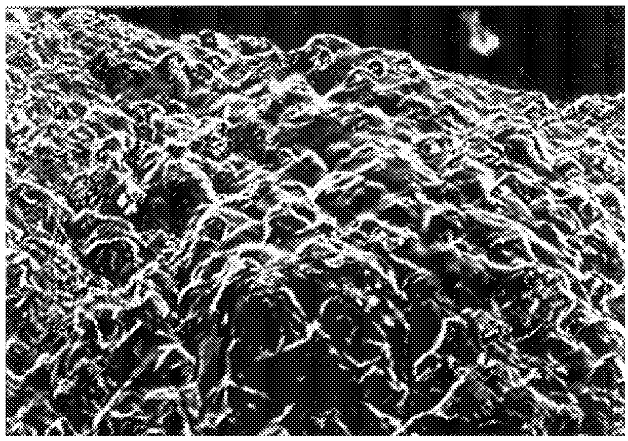 Subversion of bacterial resistance by low solubility antibiotics