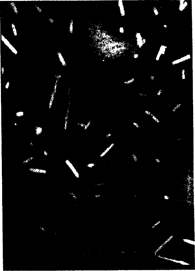 Cholestrin derivative as nucleoside analog