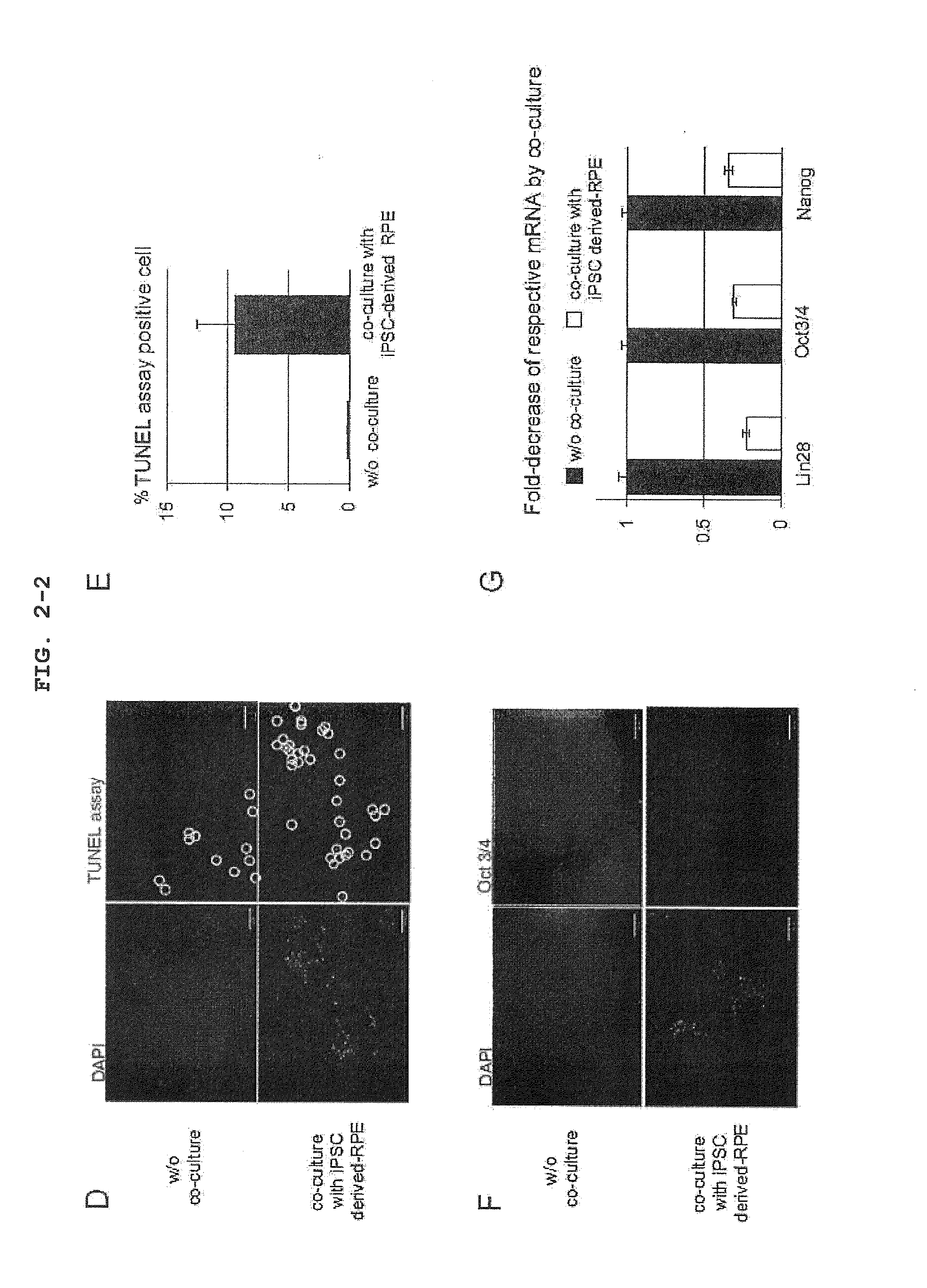 Cell sorting method