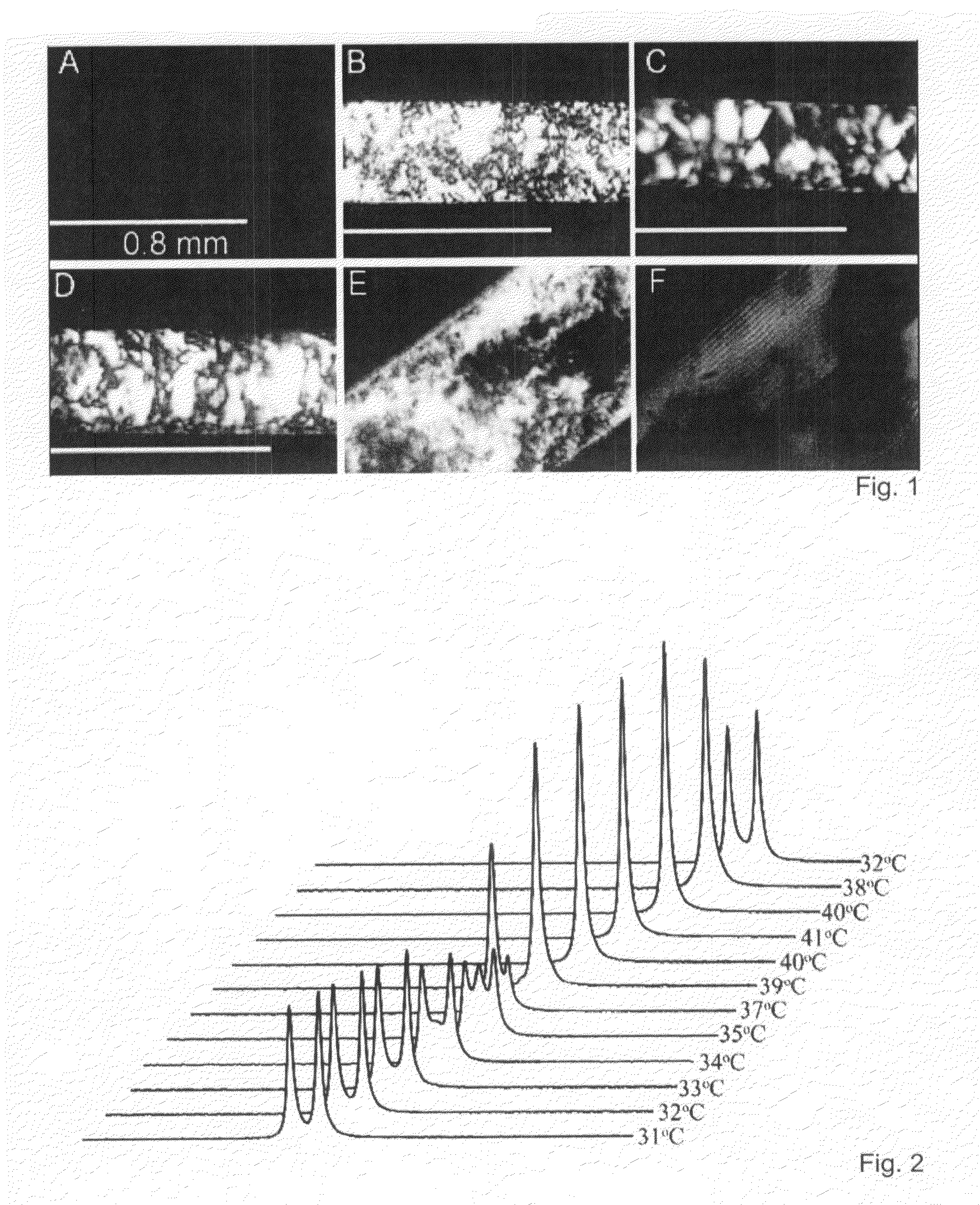 Β-peptide lyotropic liquid crystals and methods of manufacture and use thereof