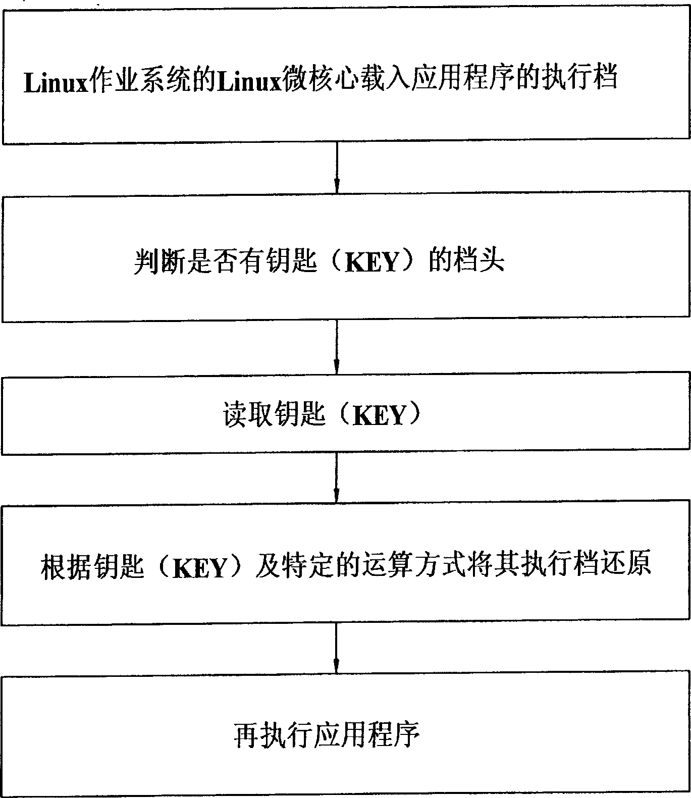 Encryption method for program