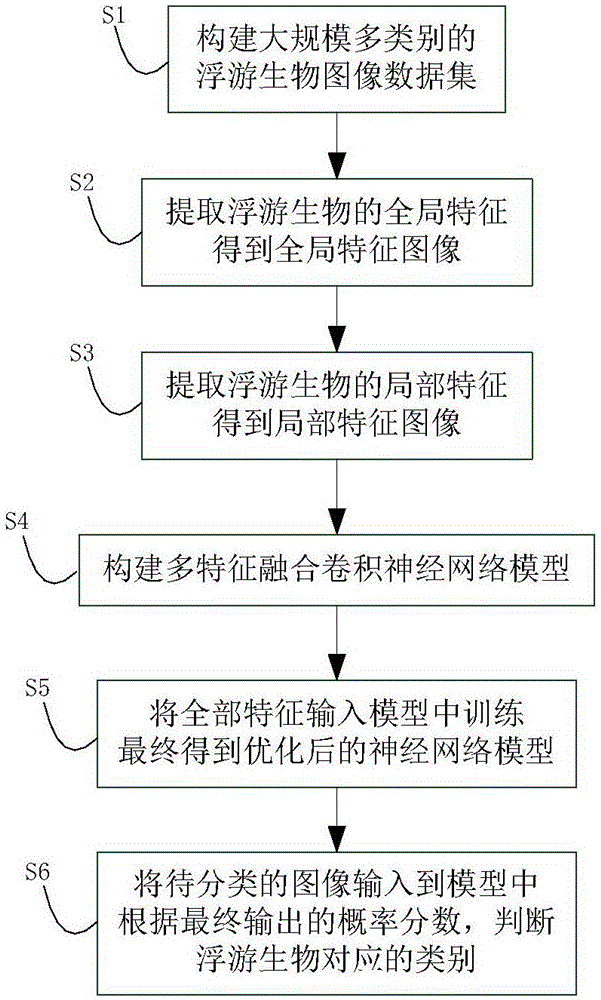 Multi-feature-fusion-convolutional-neural-network-based plankton image classification method