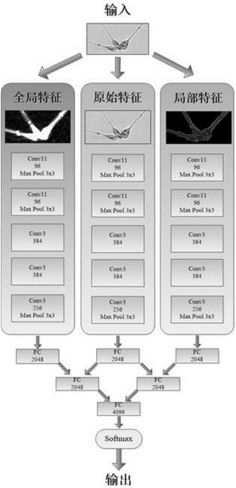 Multi-feature-fusion-convolutional-neural-network-based plankton image classification method