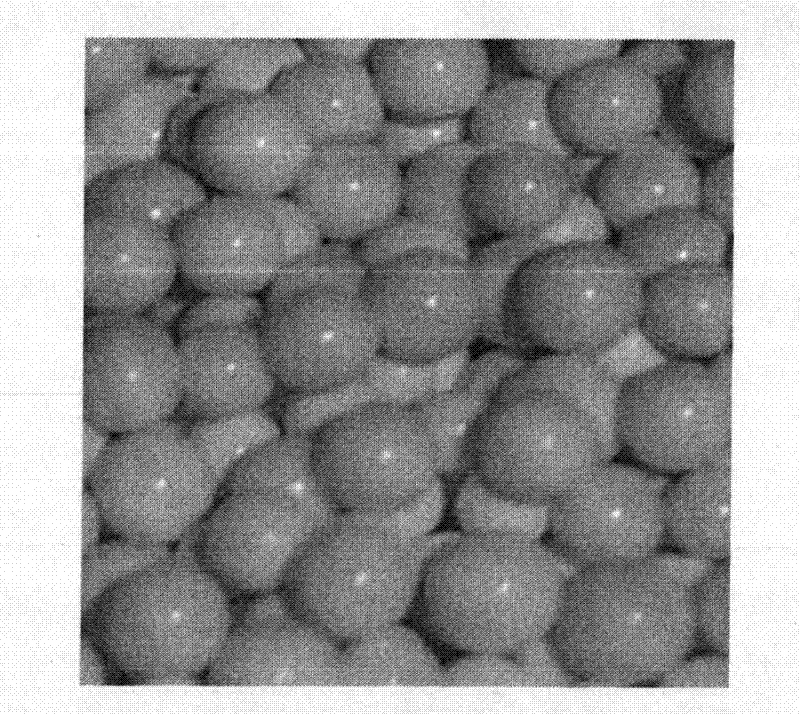 Supported cupric iodide catalyst for oxidation and carbonylation and preparation method thereof