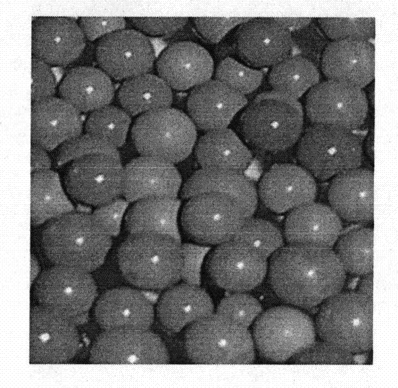 Supported cupric iodide catalyst for oxidation and carbonylation and preparation method thereof