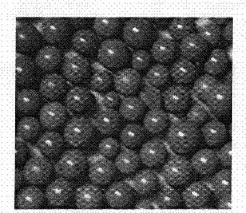 Supported cupric iodide catalyst for oxidation and carbonylation and preparation method thereof