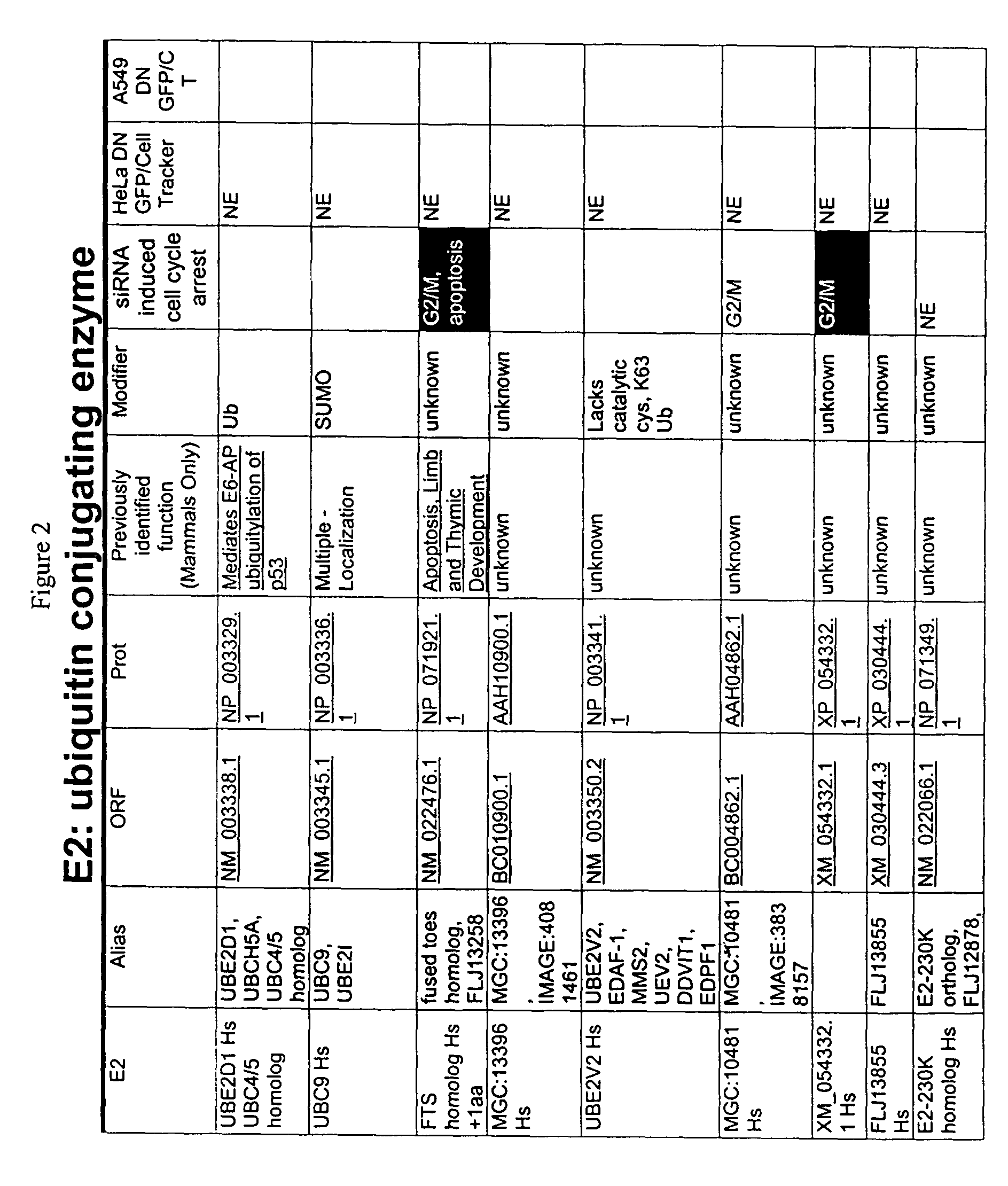 Methods of assaying for cell cycle modulators using components of the ubiquitin ligation cascade