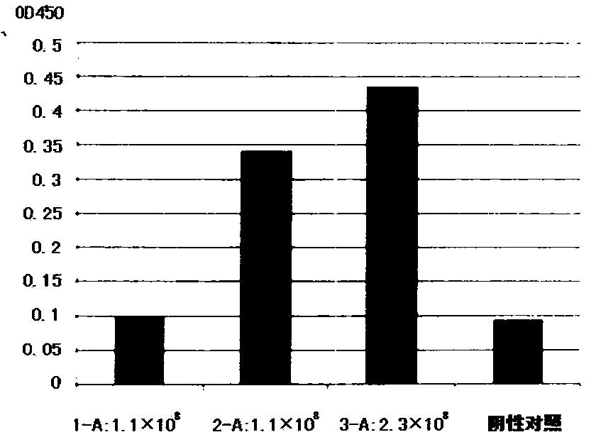 Novel anti-vegfr2 monoclonal antibody and its preparation and application