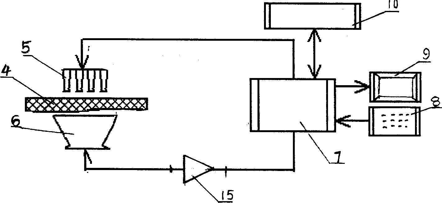 System and method for portable non-destructive detecting plant pigment in fields