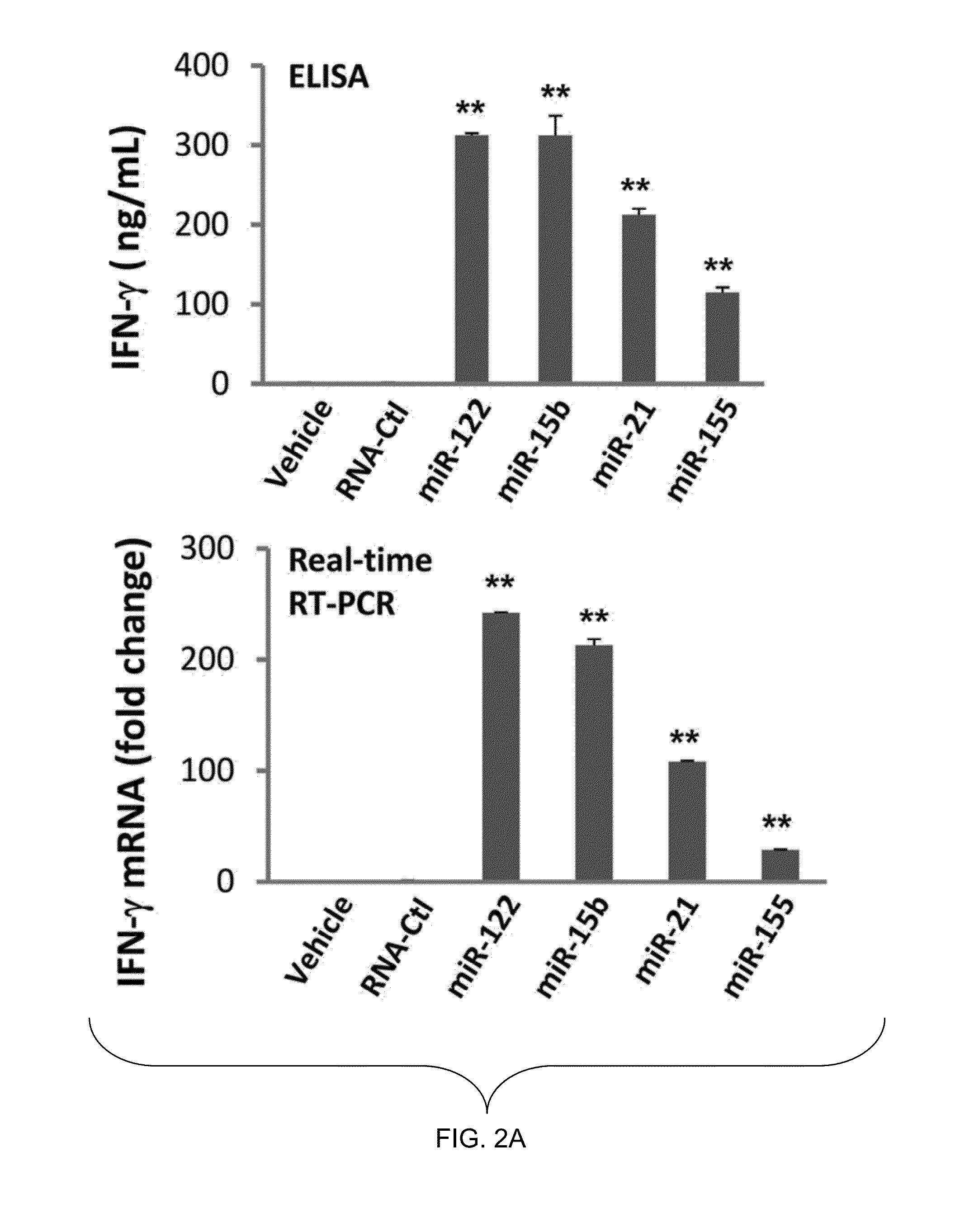 Activation of Innate Immunity by miRNA for Cancer and Infection Treatment