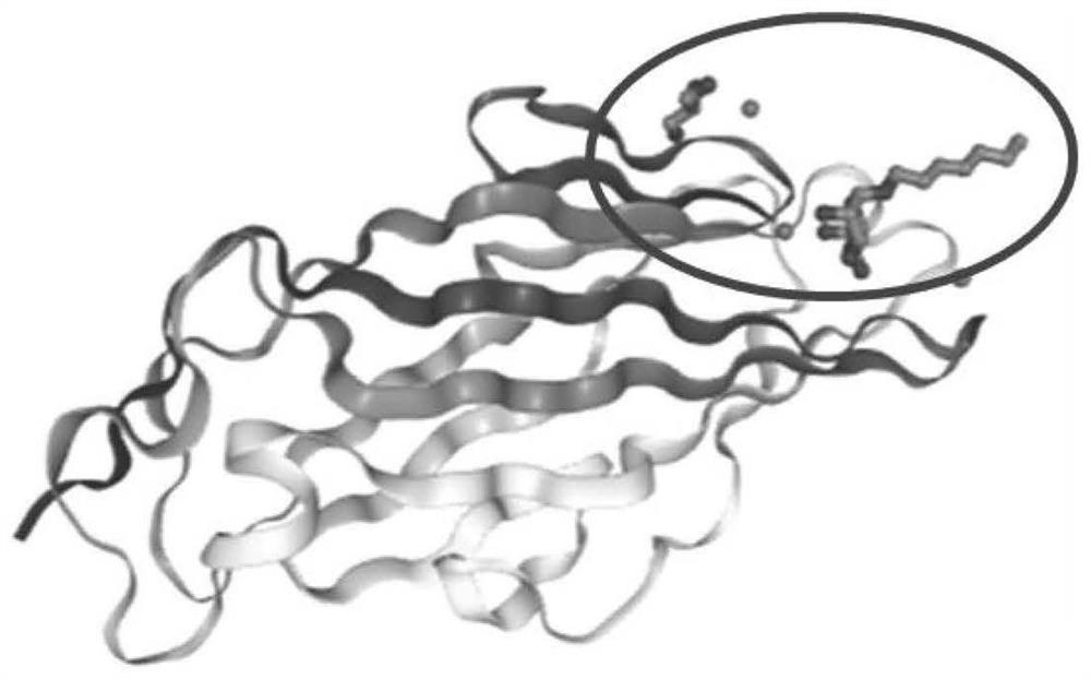 Recombinant BCG and its preparation method and application