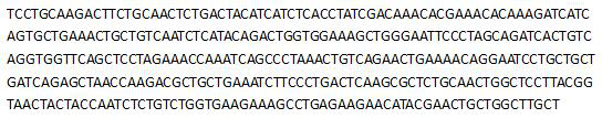 Construction method of larimichthys polyactis growth hormone bioreactor silkworm strain