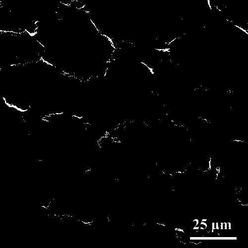 Preparation method of porous graphene-polymer composite material