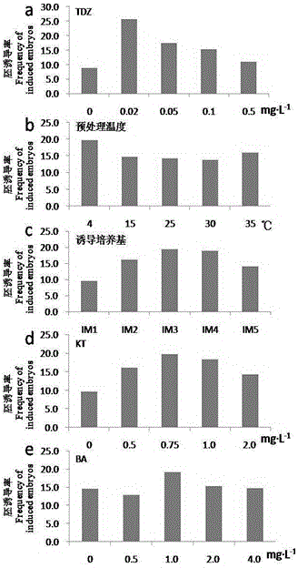 Method for obtaining cucumber regenerated plantlet by inducing gynogenesis by virtue of culture of unfertilized ovules