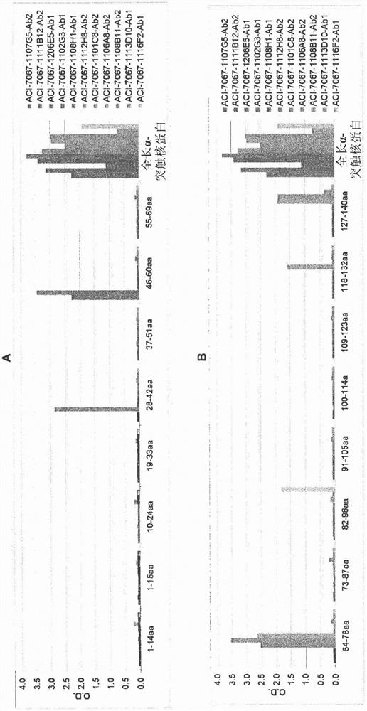 Novel molecules for therapy and diagnosis