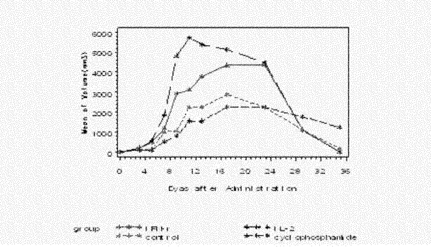 Construction method of drug evaluation model for dermal pathology of tuberculosis rabbit