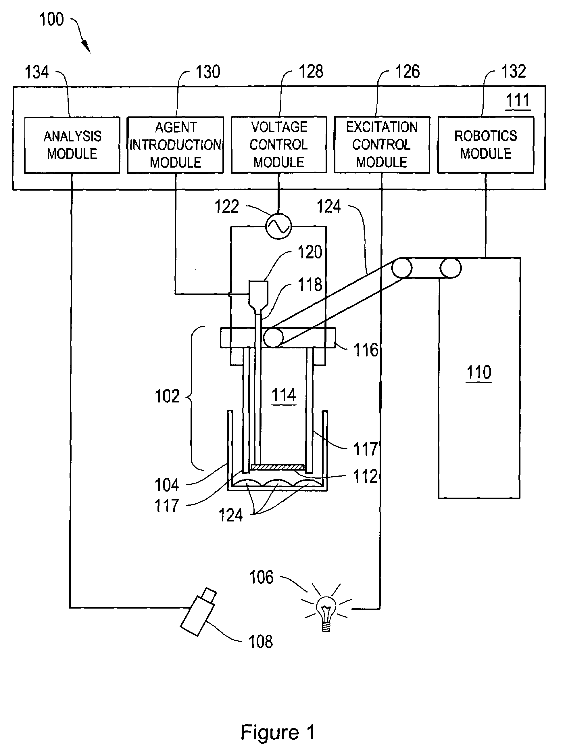 Systems and methods of voltage-gated ion channel assays