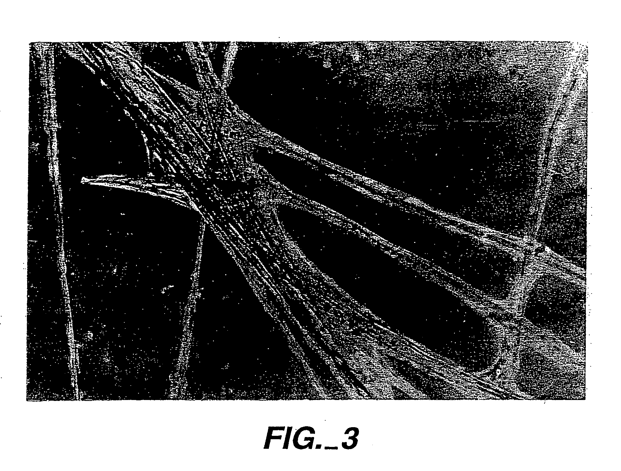 Synthetic compounds and compositions with enhanced cell binding