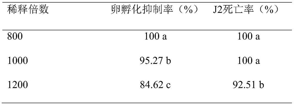 Brevibacillus brevis for controlling root knot nematode and application of brevibacillus brevis