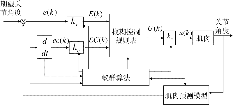 Walking aid functional electrical stimulation precision control method based on ant colony fuzzy controller