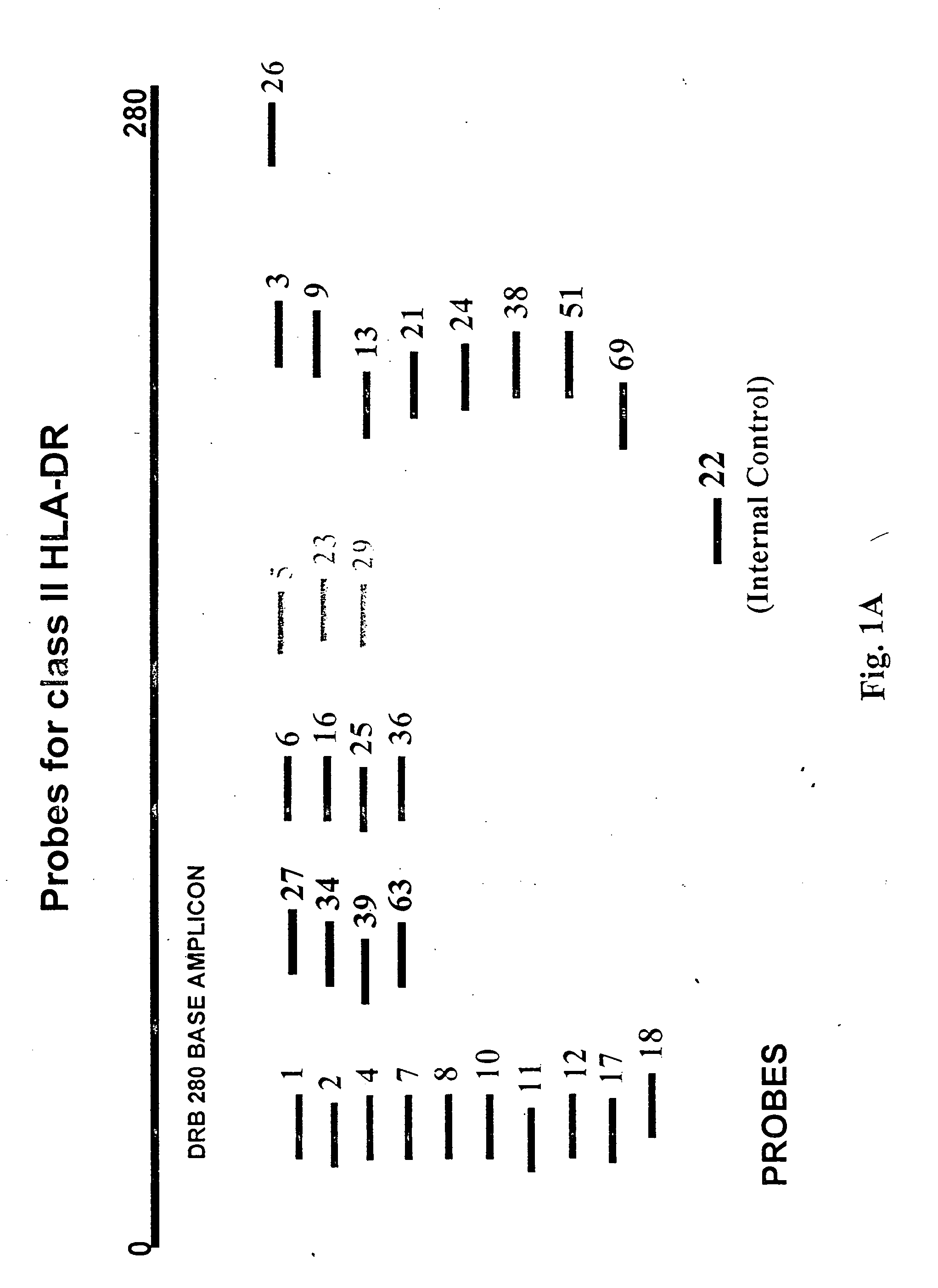 Multiplexed Analysis Of Polymorphic Loci By Concurrent Interrogation And Enzyme-Medicated Detection