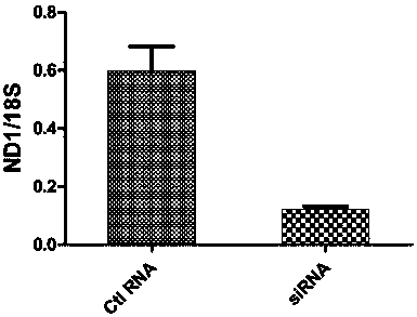 A method and application for regulating mitochondrial gene expression using small RNA