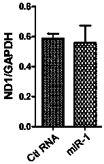 A method and application for regulating mitochondrial gene expression using small RNA