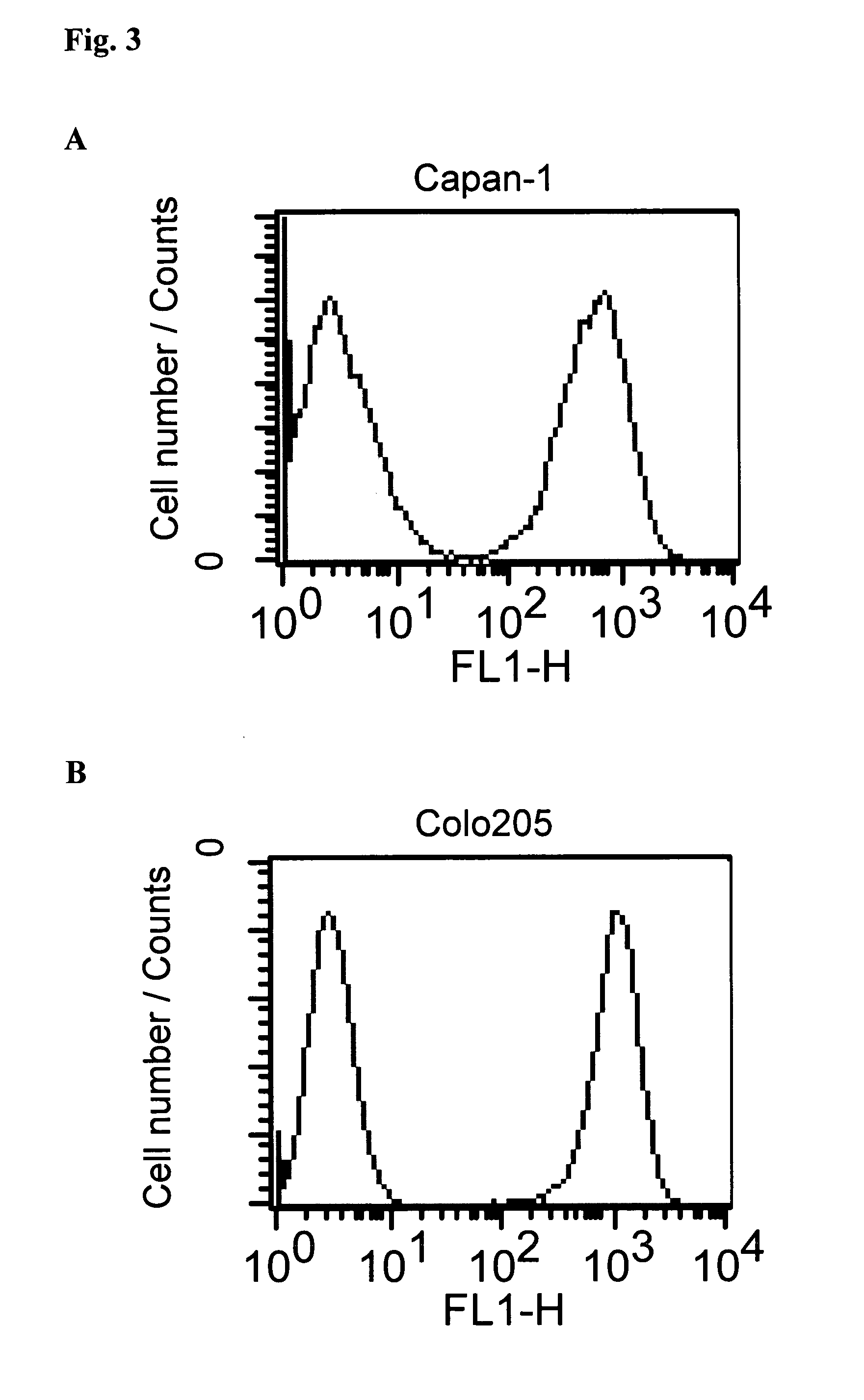 Amatoxin-Armed Therapeutic Cell Surface Binding Components Designed for Tumour Therapy